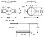 Termostat teplotní NO-spínací vratný F-100/10A  100°C-náhradní díl na fastony