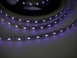 LED pásek vnitřní UV s original UV chipem 14,4W s ultrafialovým světlem, 120 LED/m, samolepící, vnitřní, IP20, 12V cena za 1m, pro osvětlení akvárií, terárií, diskoték či jako černé světlo