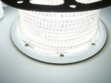 LED diodový pásek 230V na napětí 230V, 3,5W/m, 60 LED/m, zalitý-voděodolný IP67- vyberte barvu- - BÍLÁ